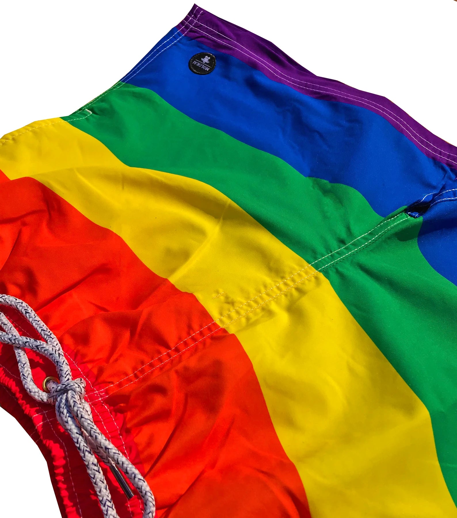 Pride Swim Trunks - 59.00 with free shipping on Gays+ Store 