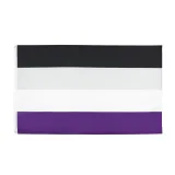 Super Large Asexual Flag – photo 1