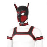 Gay Pup Gear Starter Kit (5 Colors) – photo 5