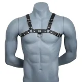 The harness on a mannequin – photo 5