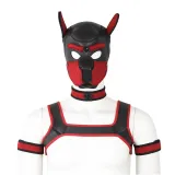 Gay Pup Gear Starter Kit (5 Colors) – photo 6