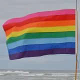 Original 8-Color Gay Pride Flag – photo 2