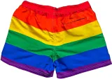 Pride Swim Trunks – photo 4