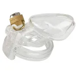 Multi-Colored Chastity Cage – photo 3