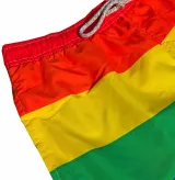 Pride Swim Trunks – photo 2