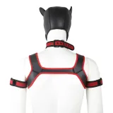 Gay Pup Gear Starter Kit (5 Colors) – photo 7