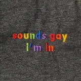 'Sounds Gay I'm In' Embroidered Beanie – photo 5