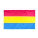 Super Large Pansexual Flag – photo 1