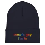 'Sounds Gay I'm In' Embroidered Beanie – photo 2