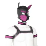 Gay Pup Gear Starter Kit (5 Colors) – photo 4