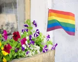 10 Pack of Small Pride Flags – photo 4