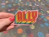 ALLY Pride Magnet – photo 3