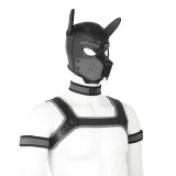 Gay Pup Gear Starter Kit (5 Colors) – photo 3