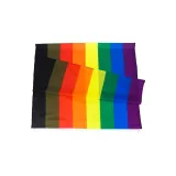 Philadelphia Pride Flag – photo 2