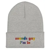 'Sounds Gay I'm In' Embroidered Beanie – photo 4