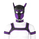 Gay Pup Gear Starter Kit (5 Colors) – photo 1