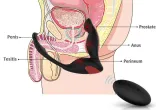 3-in-1 Silicone Prostate Massager with Cock & Ball Rings – photo 8
