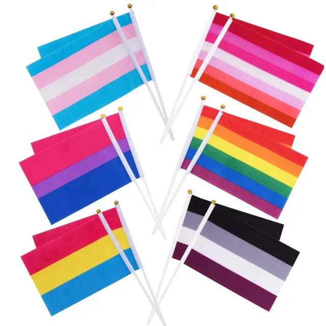 10 Pack of Small Flags - Gay, Bisexual, Trans, Lesbian, Pansexual, Asexual
